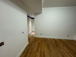 Viva (D11), Condominium #558583741
